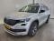 preview Skoda Kodiaq #0