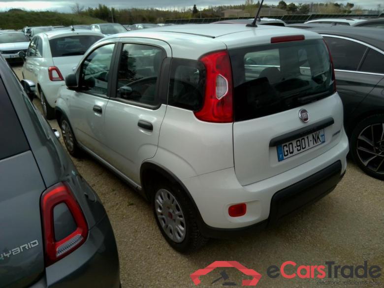 PANDA 1.0 70CV #3