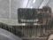 preview Renault Trafic #5