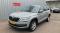 preview Skoda Kodiaq #0