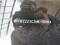 preview Volkswagen Passat Variant #4