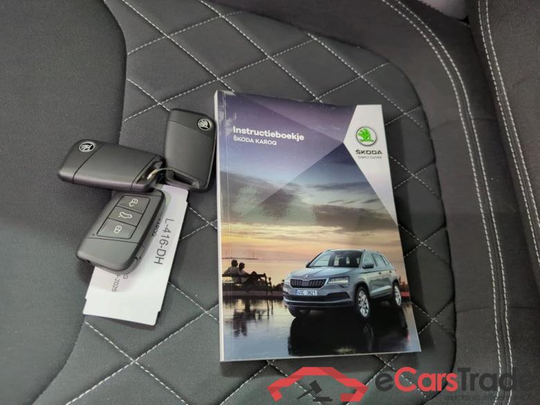 SKODA Karoq 110 kW #6