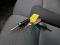 preview Renault Trafic #3