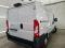 preview Fiat Ducato #2