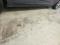 preview Renault Clio #5