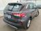 preview Ford Kuga #2