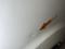 preview Ford Transit Custom #5