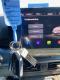 preview Cupra Born #4