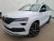 preview Skoda Karoq #0