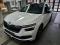 preview Skoda Kamiq #0