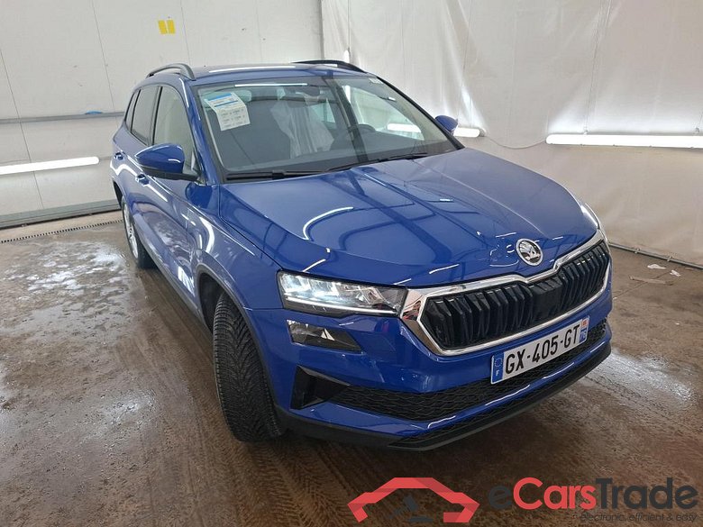 Karoq Selection 2.0 TDI 115CV BVM6 6E #4