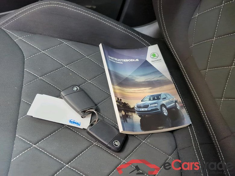 SKODA Karoq 110 kW #6