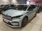 preview Skoda Enyaq #0