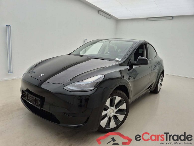 TESLA MODEL Y BASIS RDW