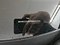 preview Volkswagen Golf #2