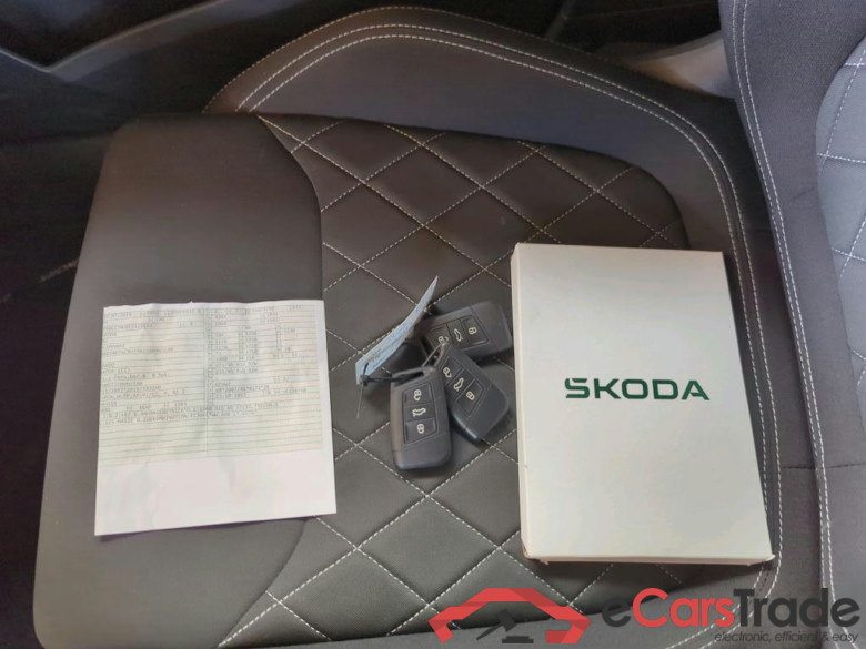 Karoq Sportline 4x4 2.0 TSI 140KW AT7 E6d #3