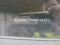 preview Volkswagen Touran #3
