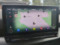 preview Cupra Born #1