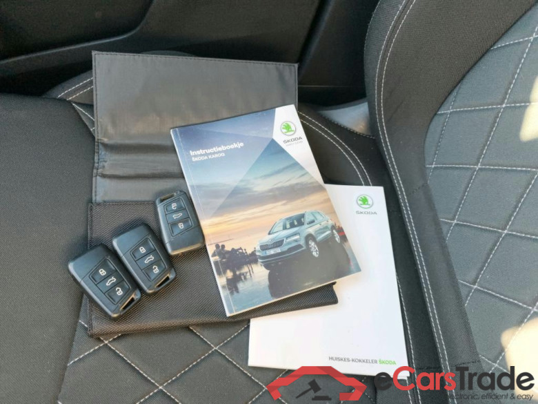 SKODA Karoq 110 kW #6