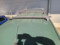 preview Renault Kangoo #5